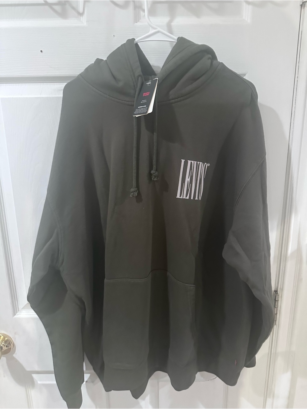 Levi’s Relaxed Graphic Hoodie XXL Kambaba Green NWT